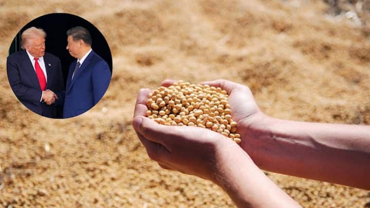Trump says China to purchase ‘tremendous amounts’ of US soybeans Trump says China to purchase ‘tremendous amounts’ of US soybeans