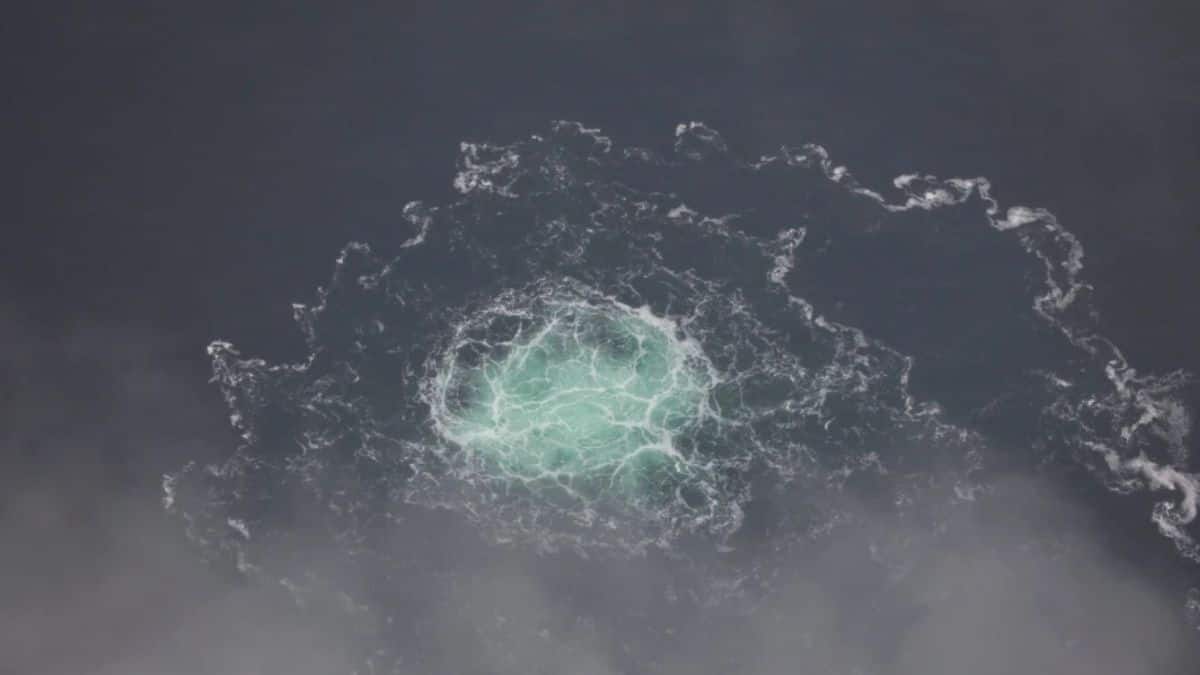 Nord Stream sabotage: Poland arrests Ukrainian man wanted by Germany for 2022 undersea pipeline blast