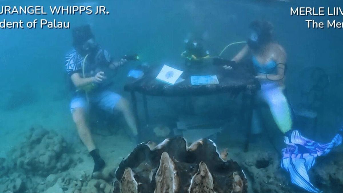 ’In our DNA’: Palau leader speaks with ‘Mermaid’ in world’s first underwater interview with head of state ’In our DNA’: Palau leader speaks with ‘Mermaid’ in world’s first underwater interview with head of state