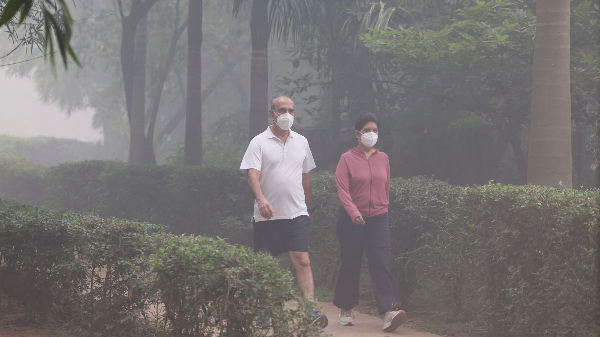 This Week in Explainers: How green crackers failed to stop Delhi’s air from turning toxic This Week in Explainers: How green crackers failed to stop Delhi’s air from turning toxic
