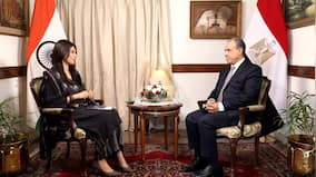 'Opening new horizons': Egyptian FM calls India a 'natural partner' in regional security, seeks closer ties