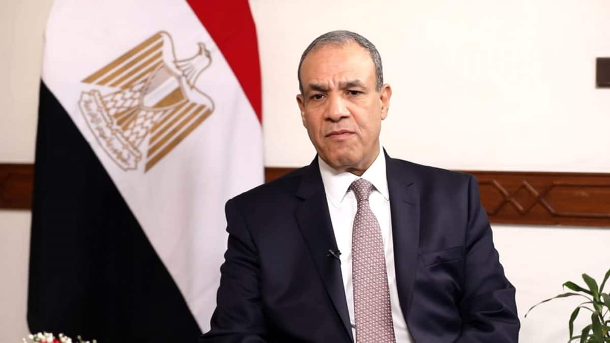 'Opening new horizons': Egyptian FM calls India a 'natural partner' in regional security, seeks closer ties