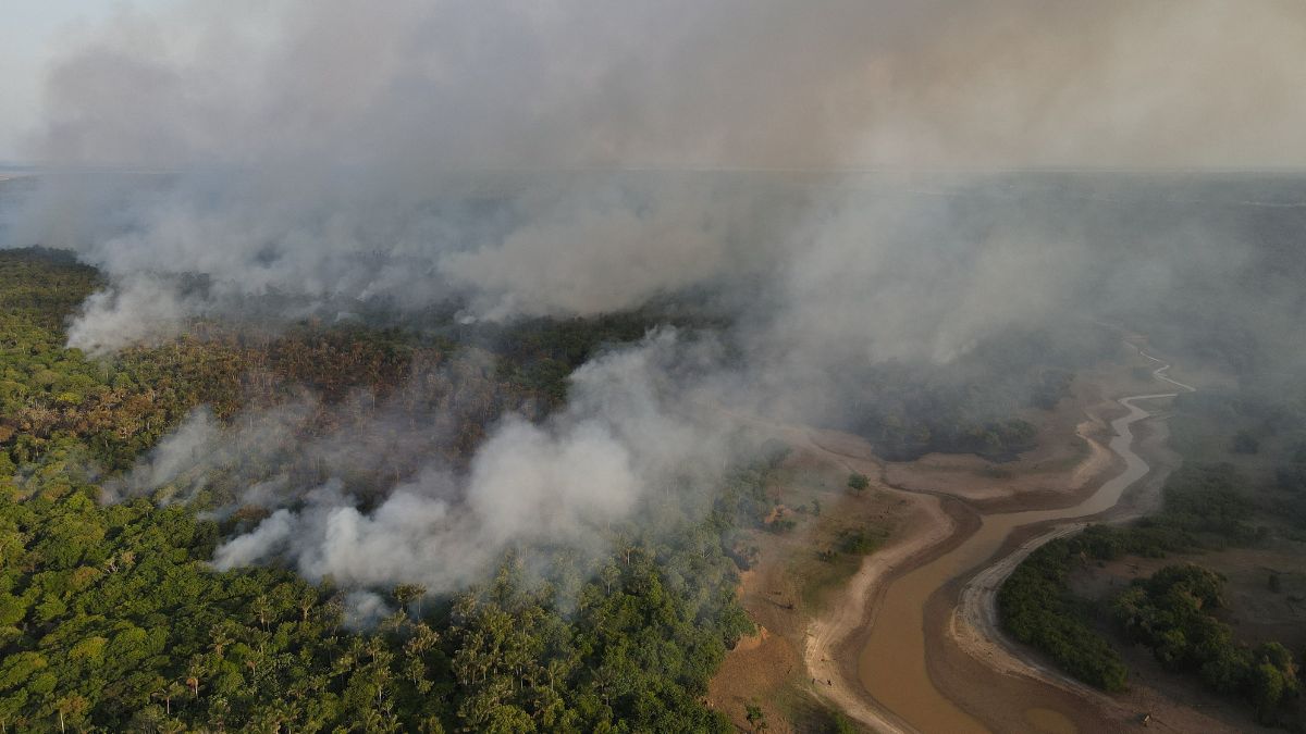 Smoke billows from a wildfire in the Amazon rainforest near a dry river in Iranduba, Amazon. File image/Reuters Smoke billows from a wildfire in the Amazon rainforest near a dry river in Iranduba, Amazon. File image/Reuters