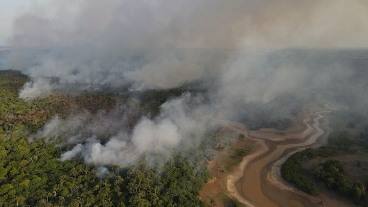 Blazing trails: Who’s setting fire to the Amazon?