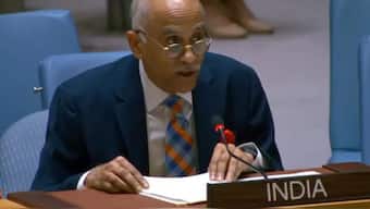 India's Permanent Representative to the UN, Ambassador Parvathaneni Harish (Photo: X)
