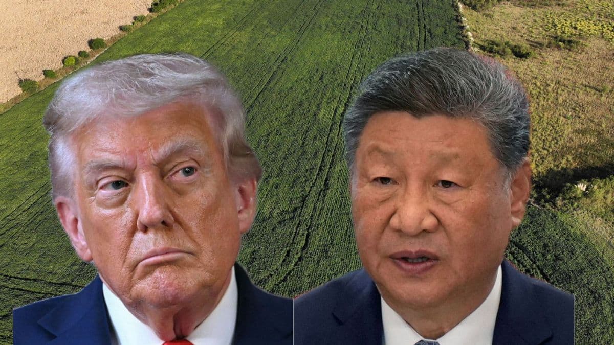 <div>Amid China's soy boycott, Trump considering $10 bn bailout for soyabean farmers</div>