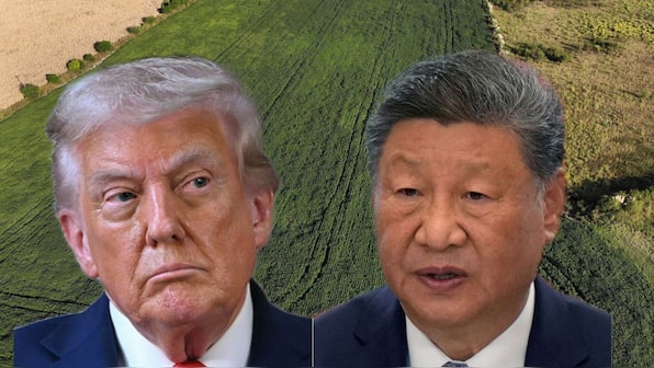 Soybeans and the Art of War: How China is using imports as a trade leverage against America