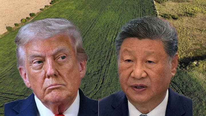 Amid China's soy boycott, Trump considering $10 bn bailout for soyabean farmers
