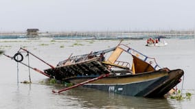 3 Indian nationals dead, 5 missing after boat capsizes in Mozambique
