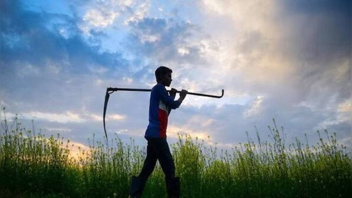 India's Agricultural Exports Face Challenges Amidst Global Conflicts
