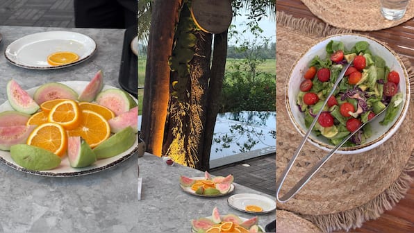 Food Talk | Farm to fork connection with hydroponic farming concept