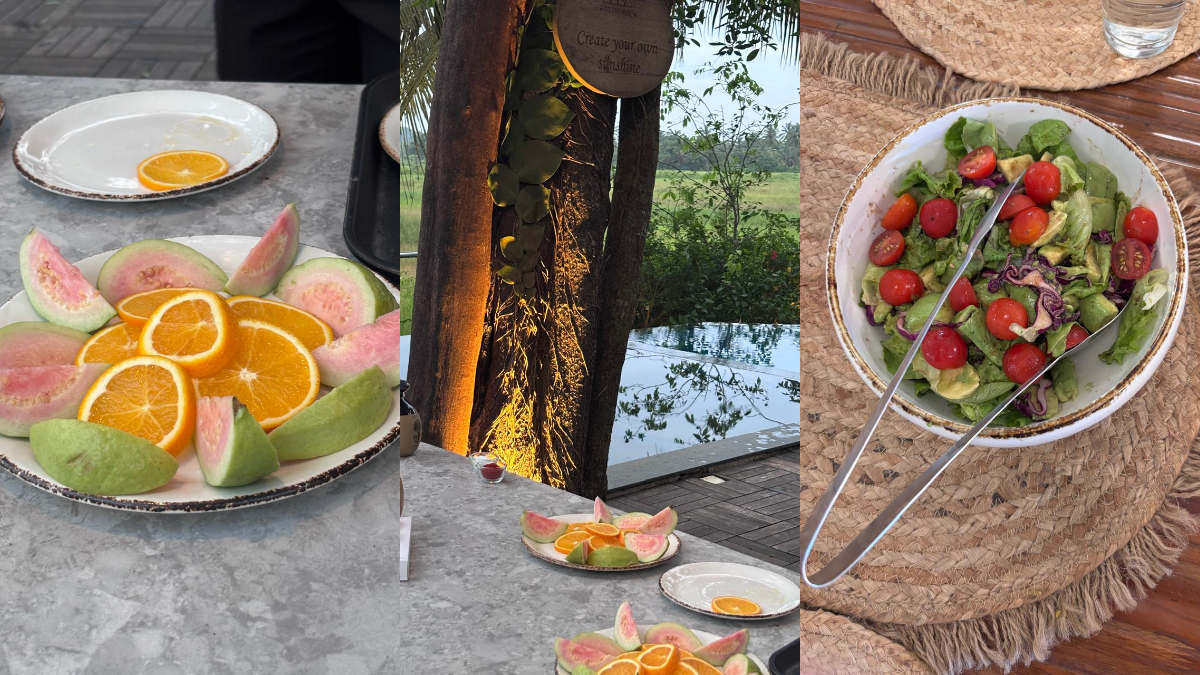 Food Talk | Farm to fork connection with hydroponic farming concept Food Talk | Farm to fork connection with hydroponic farming concept