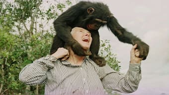 Jane Goodall plays with Bahati, a three-year-old female chimpanzee, at the Sweetwaters Chimpanzee Sanctuary near Nanyuki, north of Nairobi. Goodall has passed away at the age of 91. File image/AP