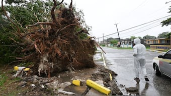 A man looks at a fallen tree in St. Catherine, Jamaica after Hurricane Melissa made landfall. Ferocious winds and torrential rain tore into Jamaica as Hurricane Melissa made landfall, the worst storm ever to strike the island nation and one of the most powerful hurricanes on record. AFP