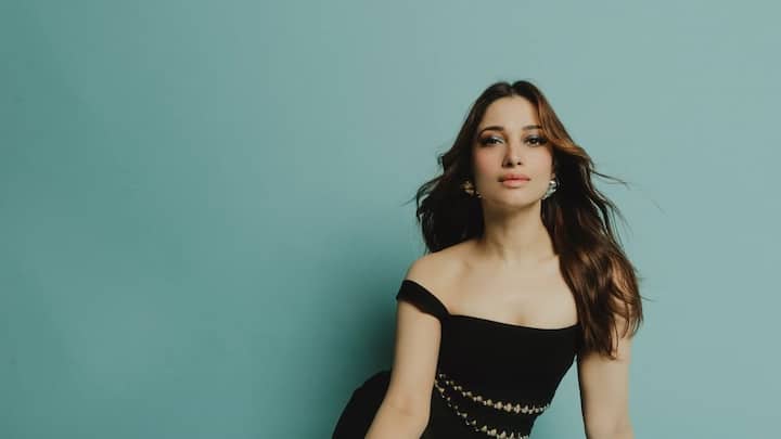 'Why is everyone trying to be Tamannaah Bhatia from Stree 2's Aaj Ki Raat?'- Netizens feel the actress is the best choice for successful songs