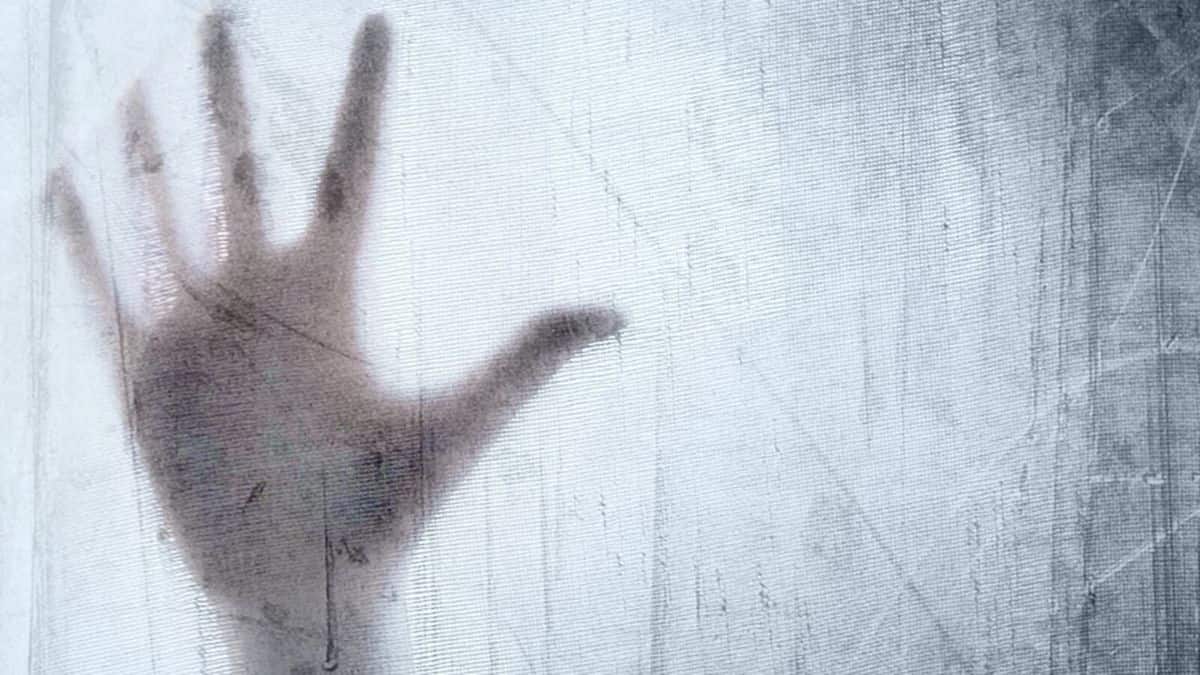 NRAI suspends national level shooting coach after FIR for sexually assaulting minor