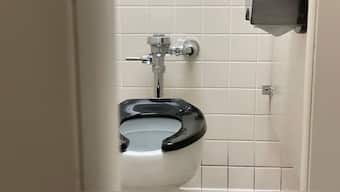 Bathroom brand Kohler's smart toilet called Dekoda. It is a tiny device that uses sensors and AI to study your waste and offer health insights.  Image for Representation. Pixabay