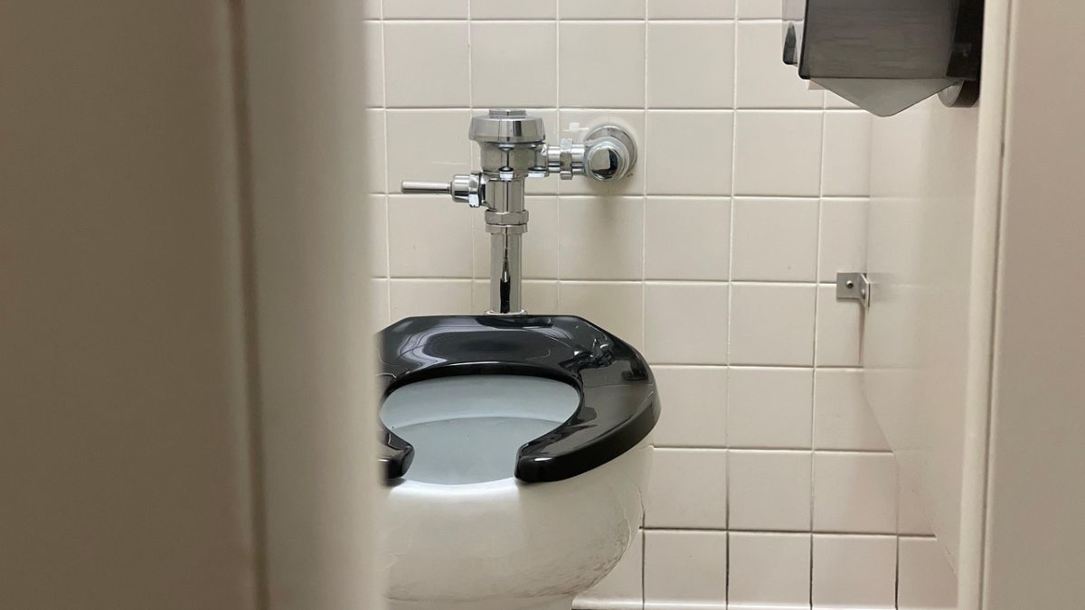 Poop cameras are the new health fad. Are they simply a waste? Poop cameras are the new health fad. Are they simply a waste?