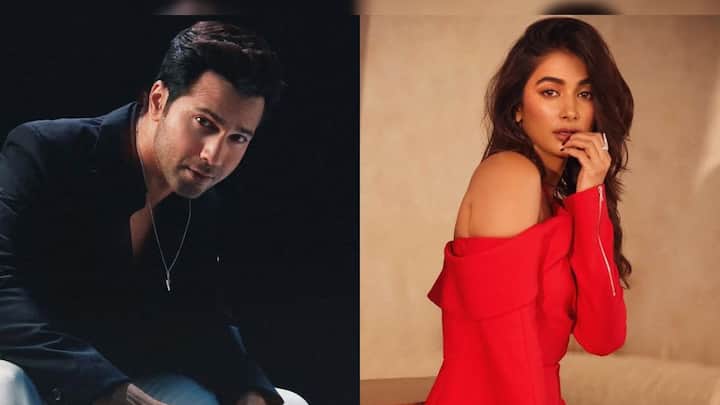 Pooja Hegde Birthday Special: From 'Hai Jawaani To Ishq Hona Hai' with Varun Dhawan to 'Jana Nayagan' with Thalapathy Vijay, upcoming movies of the actress Pooja Hegde Birthday Special: From 'Hai Jawaani To Ishq Hona Hai' with Varun Dhawan to 'Jana Nayagan' with Thalapathy Vijay, upcoming movies of the actress