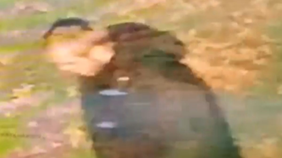 This is an image of the attacker provided by the West Midlands  Police. Image courtesy: X/@WMPolice This is an image of the attacker provided by the West Midlands  Police. Image courtesy: X/@WMPolice