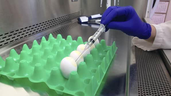 US man dies from rare strain of bird flu, becoming first known fatality of H5N5