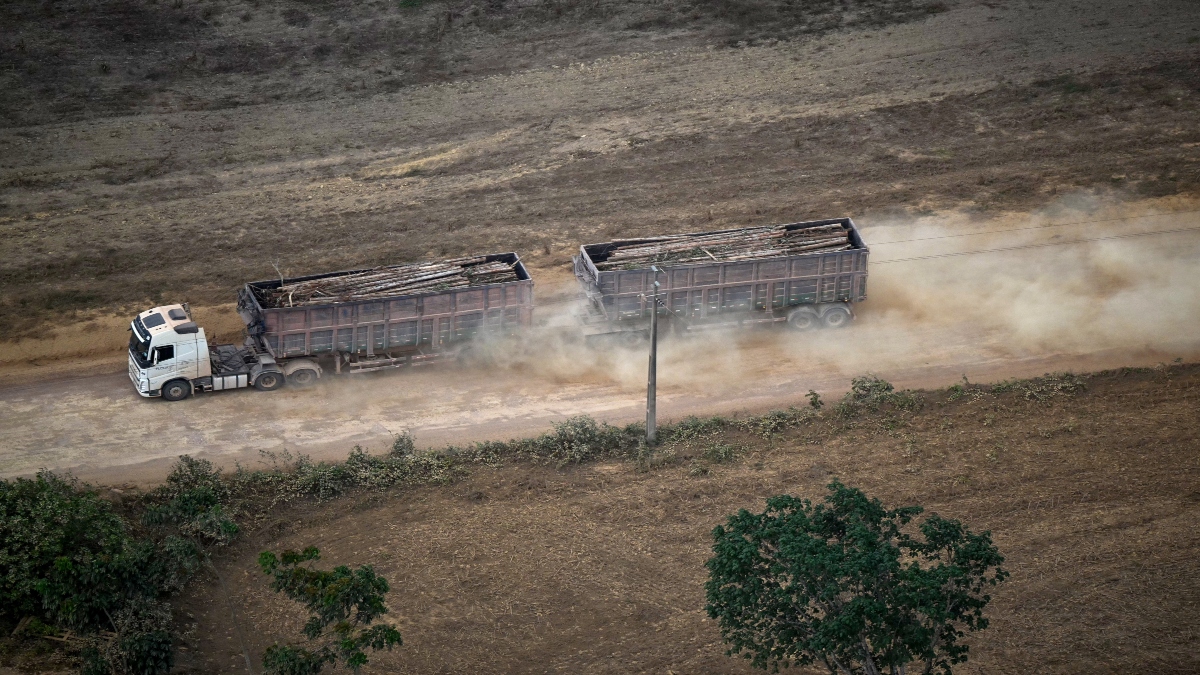 This aerial view shows a truck carrying wood through a deforested area of the Amazon rainforest in the surroundings of Belem, Para State, Brazil, on November 12, 2025, during the COP30 UN Climate Change Conference. AFP This aerial view shows a truck carrying wood through a deforested area of the Amazon rainforest in the surroundings of Belem, Para State, Brazil, on November 12, 2025, during the COP30 UN Climate Change Conference. AFP