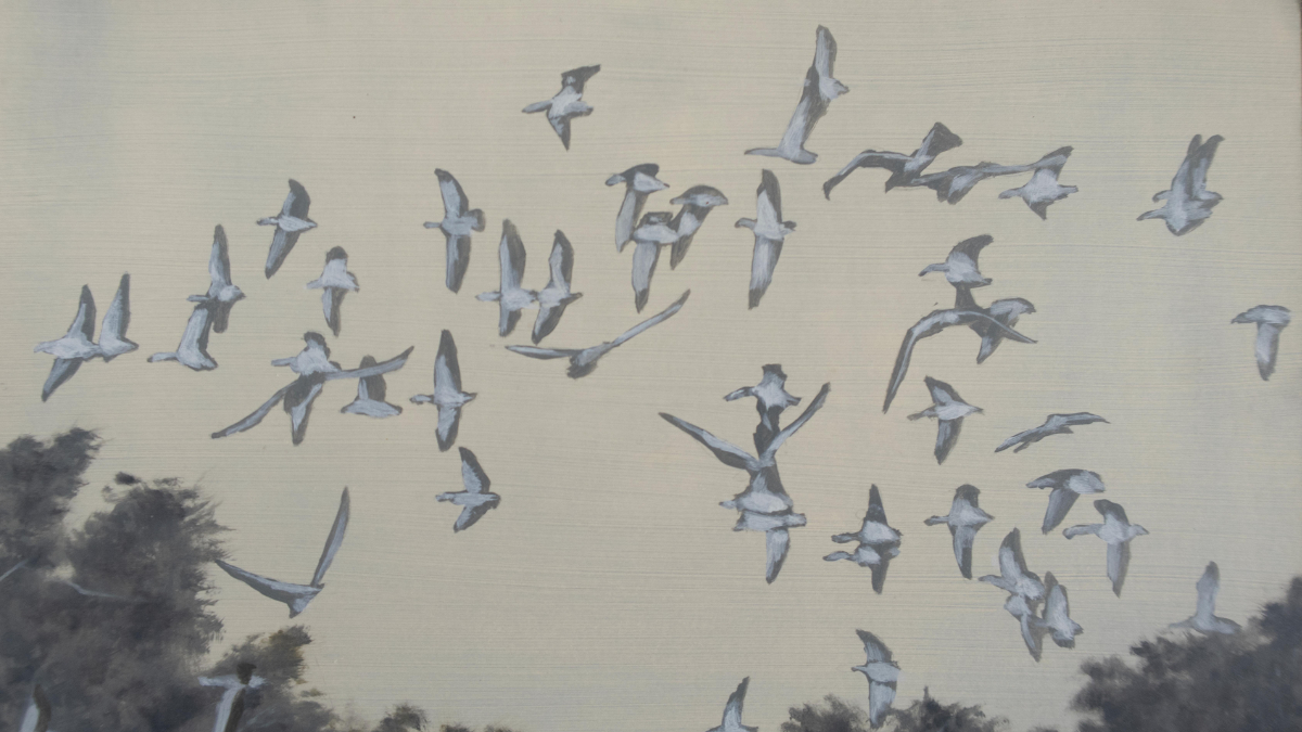 KBF announces Kochi-Muziris Biennale programmes and exhibitions KBF announces Kochi-Muziris Biennale programmes and exhibitions