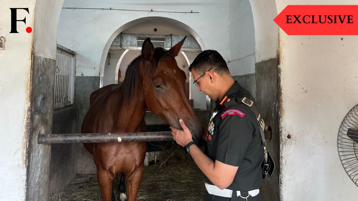 Colonel Amit Berwal, Commandant of the President's Bodyguard pets PBG horse, Gopal, at the PBG stables in Rashtrapati Bhavan, New Delhi on October 25, 2025. Firstpost/Anmol Singla Colonel Amit Berwal, Commandant of the President's Bodyguard pets PBG horse, Gopal, at the PBG stables in Rashtrapati Bhavan, New Delhi on October 25, 2025. Firstpost/Anmol Singla