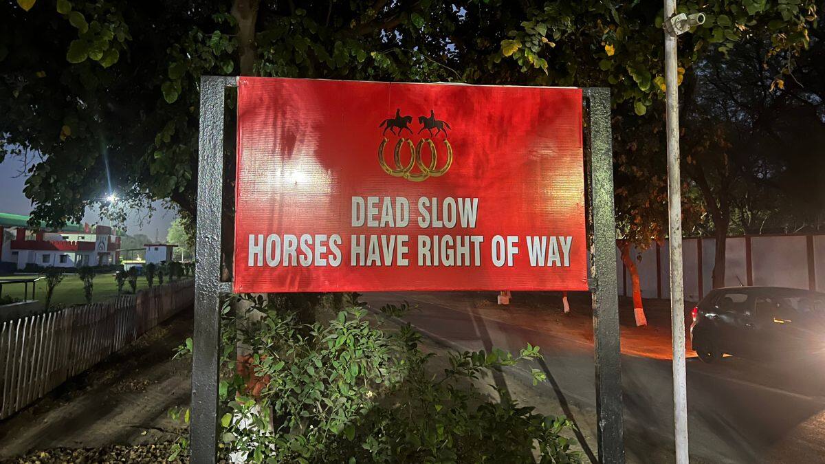 A road sign for vehicles reads “DEAD SLOW. HORSES HAVE RIGHT OF WAY.” in this photo taken at the Army Equestrian Center (AEC) in Delhi Cantt, New Delhi on March 29, 2025. Firstpost/Anmol Singla