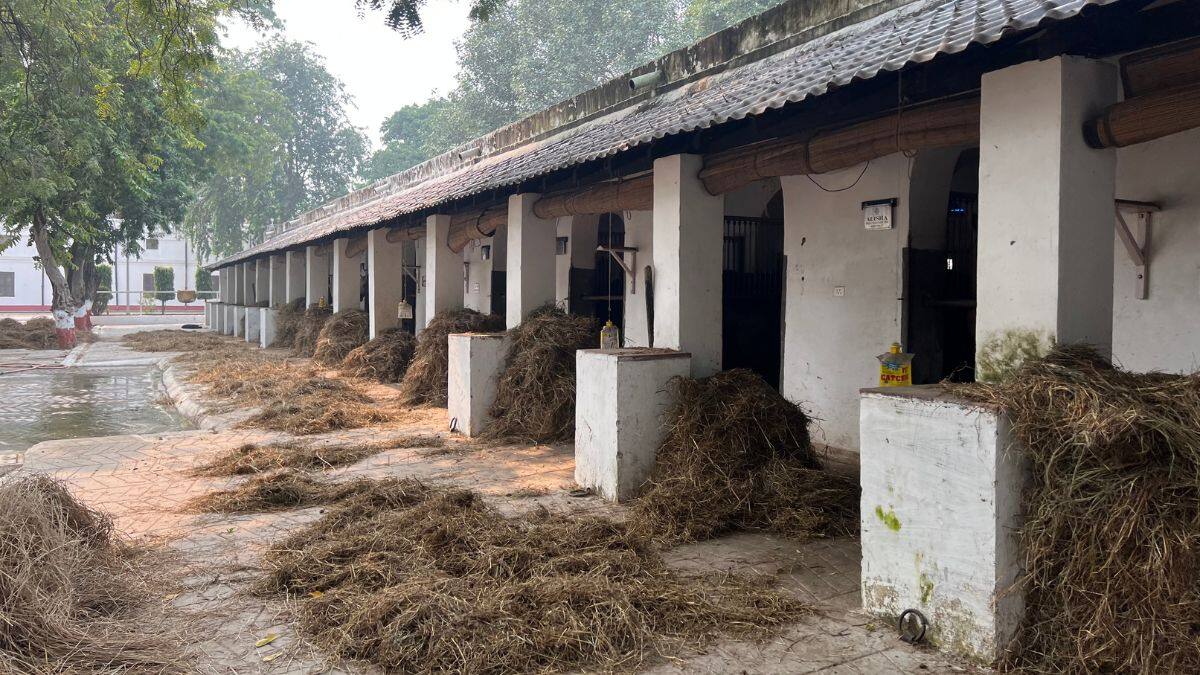 A part of the horse stables of the President's Bodyguard scheduled for renovation can be seen, in Rashtrapati Bhavan, New Delhi on October 25, 2025. Firstpost/Anmol Singla