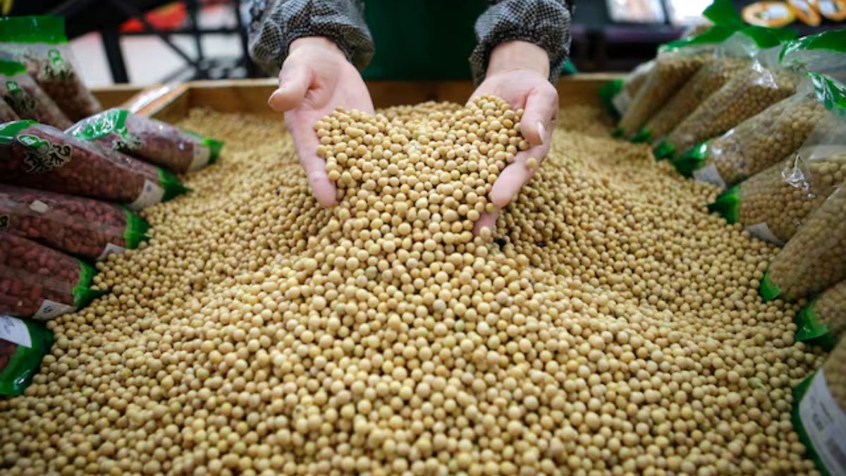Trump had ‘amazing’ meeting with Xi, but China may still not buy American soybeans Trump had ‘amazing’ meeting with Xi, but China may still not buy American soybeans