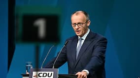 Germany's Friedrich Merz in India: What will be the focus of this visit?