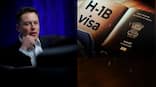 US has greatly benefited from talented Indians over the years, says Musk on H-1B visa row