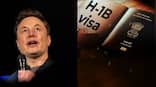 US has greatly benefited from talented Indians over the years, says Musk on H-1B visa row