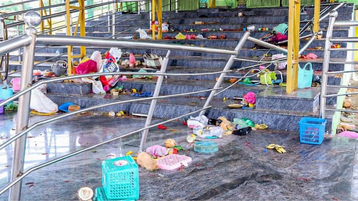 What led to the Andhra temple stampede that claimed the lives of at least 10?