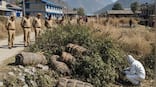 Uttarakhand: 161 explosive gelatin sticks found near school in Almora