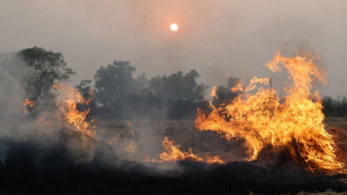 Smoke and flames rise from the burning stubble in a crop field, amid the ongoing air pollution, at Mansa in the northern state of Punjab. Image Credit: REUTERS Smoke and flames rise from the burning stubble in a crop field, amid the ongoing air pollution, at Mansa in the northern state of Punjab. Image Credit: REUTERS