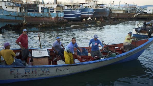 Are Donald Trump's claims of boat crews being narco-terrorists true? 