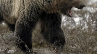 Authorities have urged people to stay out of the area to aid the search. (Representational Image/Reuters)