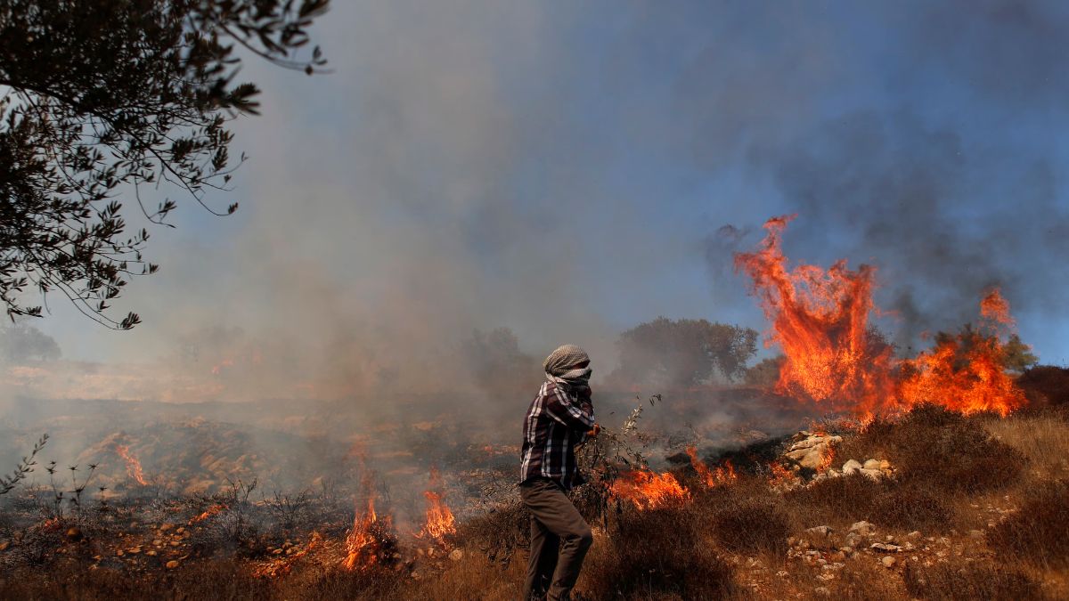 Iran battles major wildfire in heritage forest during year of drought and unrest. (Reuters) Iran battles major wildfire in heritage forest during year of drought and unrest. (Reuters)