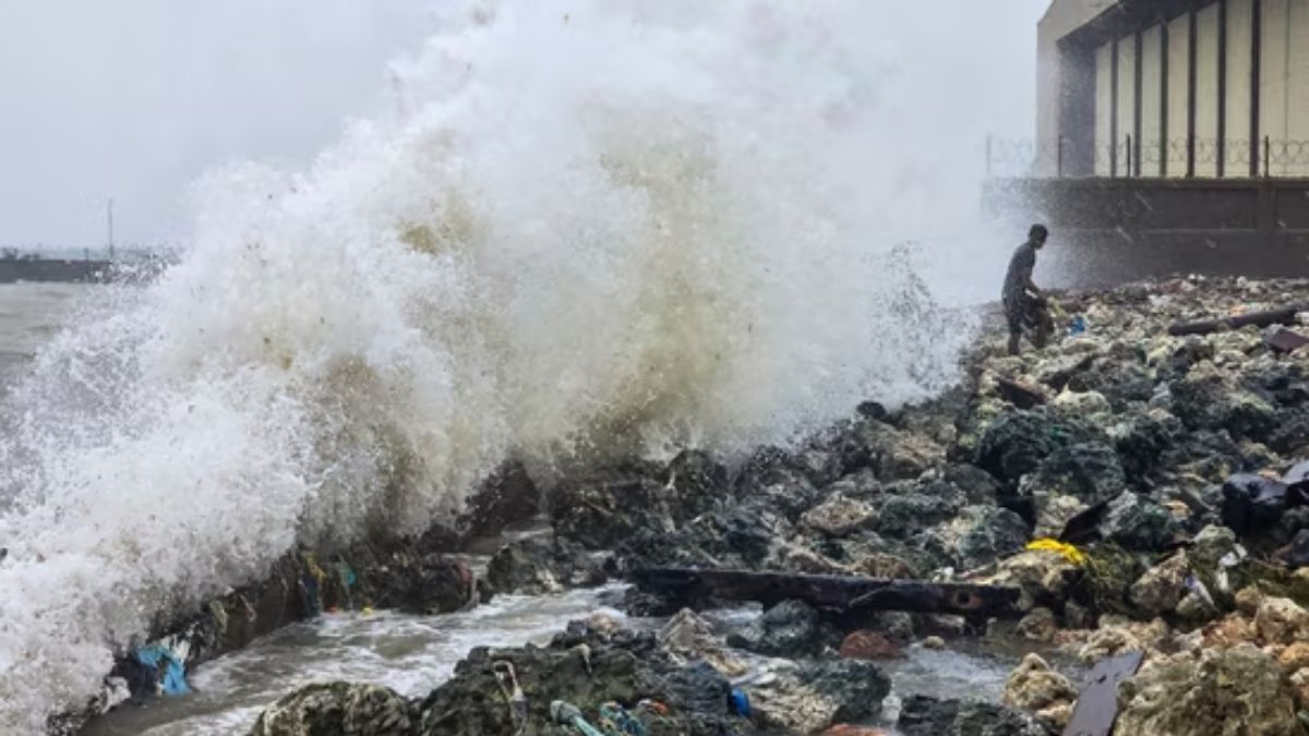 general Cyclone Ditwah: How Tamil Nadu is gearing up to face storm after it killed over 120 in Sri Lanka general Cyclone Ditwah: How Tamil Nadu is gearing up to face storm after it killed over 120 in Sri Lanka