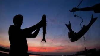 The success of the new rules depends on reaching and engaging the fishing communities along the nation’s 11,099 km coastline. Representational Image: Reuters 