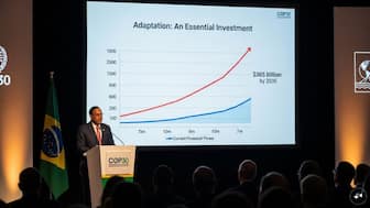 India urges global community to massively increase adaptation finance at COP30, highlighting widening gap and critical need for grant-based support.