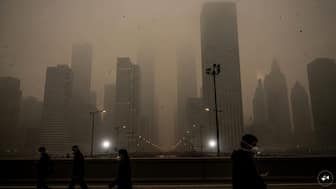 ‘Short of breath? Think COPD’: How toxic air triggers respiratory diseases and long-term lung damage