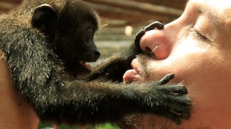 A new study suggests that kissing may have started around 21 million years ago, in the common ancestor we share with other great apes, long before modern humans, Neanderthals, or anything close to us existed. File Image/Reuters 