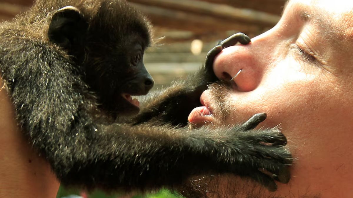 A new study suggests that kissing may have started around 21 million years ago, in the common ancestor we share with other great apes, long before modern humans, Neanderthals, or anything close to us existed. File Image/Reuters A new study suggests that kissing may have started around 21 million years ago, in the common ancestor we share with other great apes, long before modern humans, Neanderthals, or anything close to us existed. File Image/Reuters