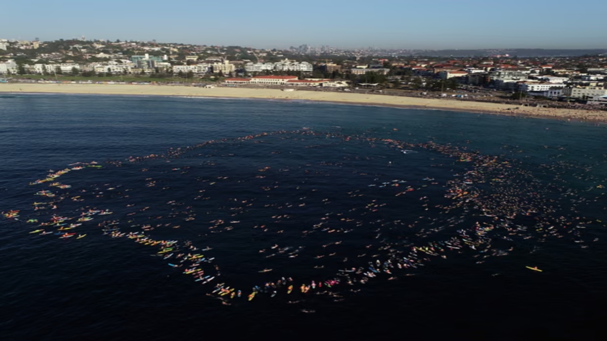 Hundreds swim & paddle on Bondi Beach to honour victims of the terror attack Hundreds swim & paddle on Bondi Beach to honour victims of the terror attack
