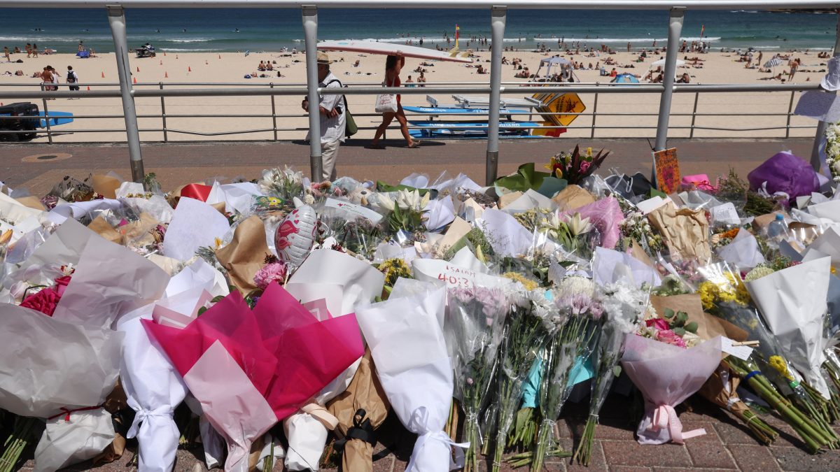 Bondi Beach shooting triggers top-to-bottom audit of Australian intelligence Bondi Beach shooting triggers top-to-bottom audit of Australian intelligence