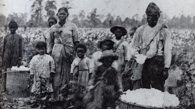 Family of enslaved black Americans in a field in Georgia. Wikimedia Commons