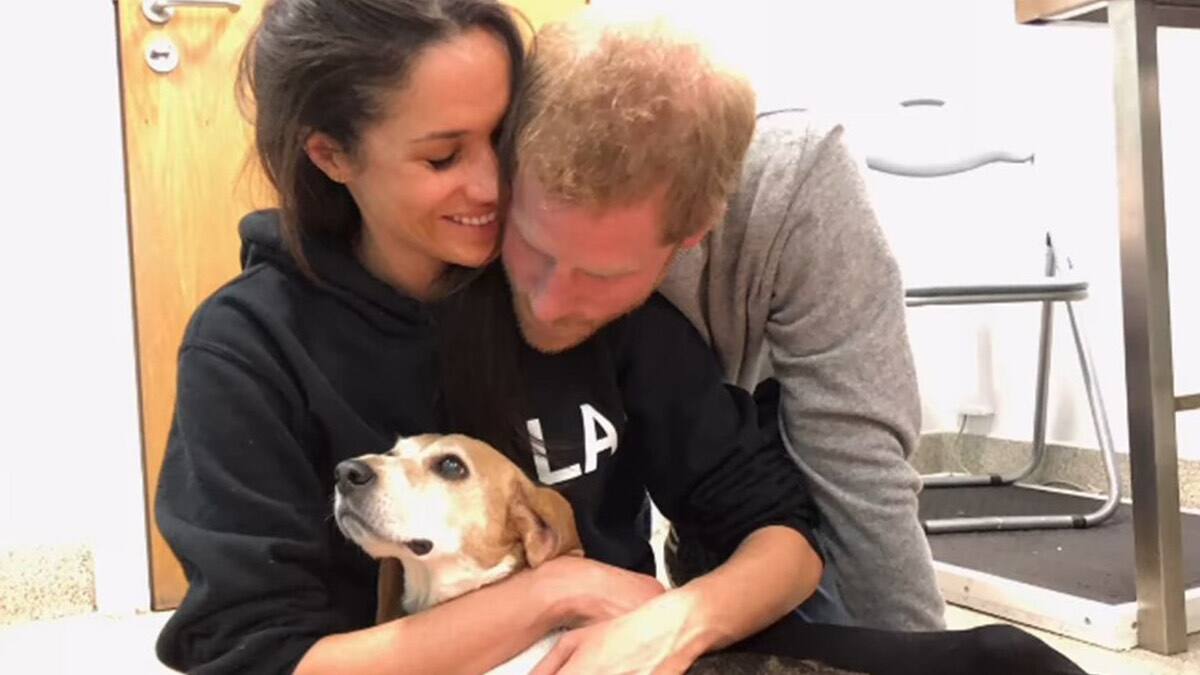 Meghan Markle's Potential UK Return: Risks and Rewards